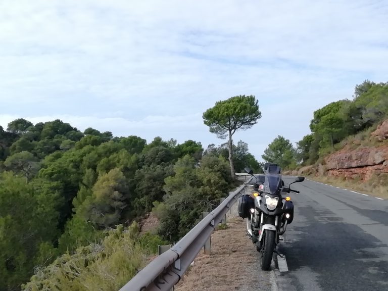 Gatotero - Carretera Talamanca