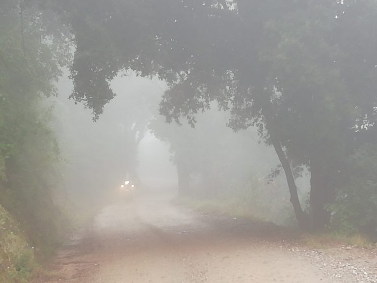 Gatotero - Carretera Puig de la Balma